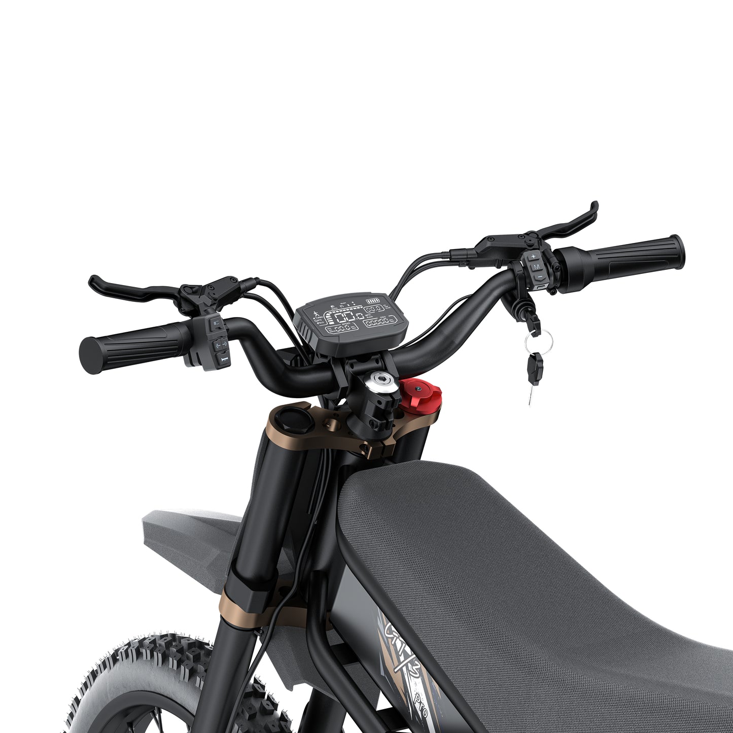 Riding Times GT73-Pro 3000W