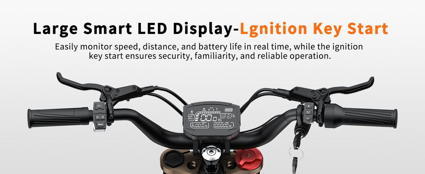 Riding Times GT73-Pro 3000W