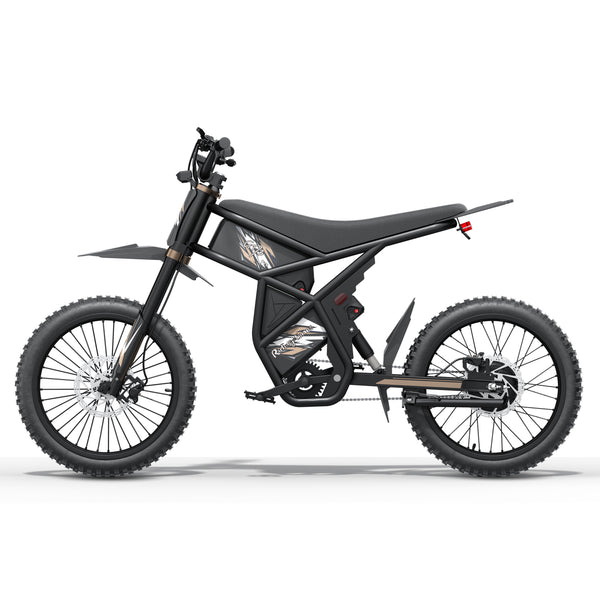 Riding Times GT73-Pro 3000W