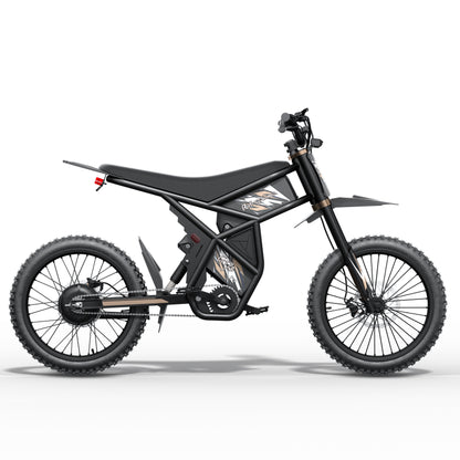 Riding Times GT73-Pro 3000W