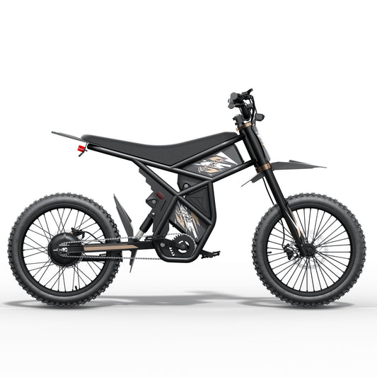 Riding Times GT73-Pro 3000W