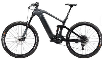 ETRIK MTB Series 101 Carbon 29er 48v 500w Bafang M600