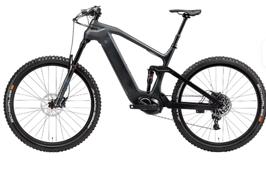 ETRIK MTB Series 101 Carbon 29er 48v 500w Bafang M600